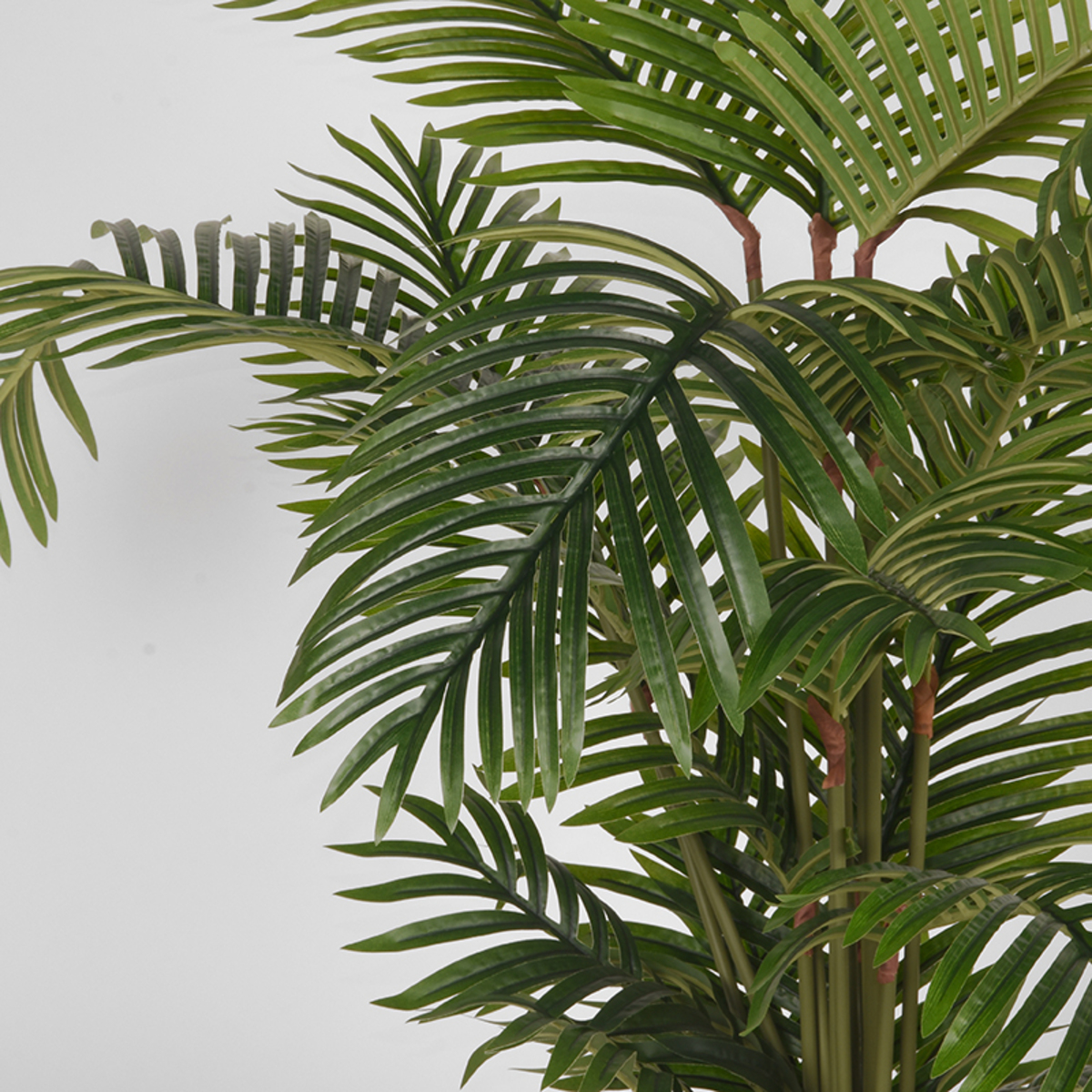 LABEL51 Areca Palm - Groen - Kunststof - 110