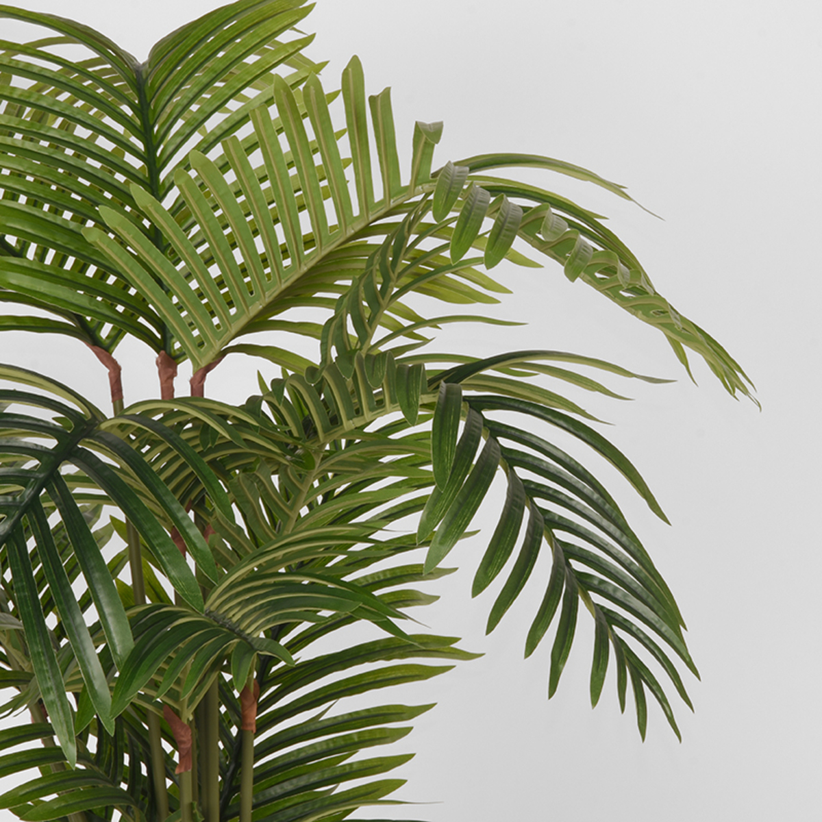 LABEL51 Areca Palm - Groen - Kunststof - 110