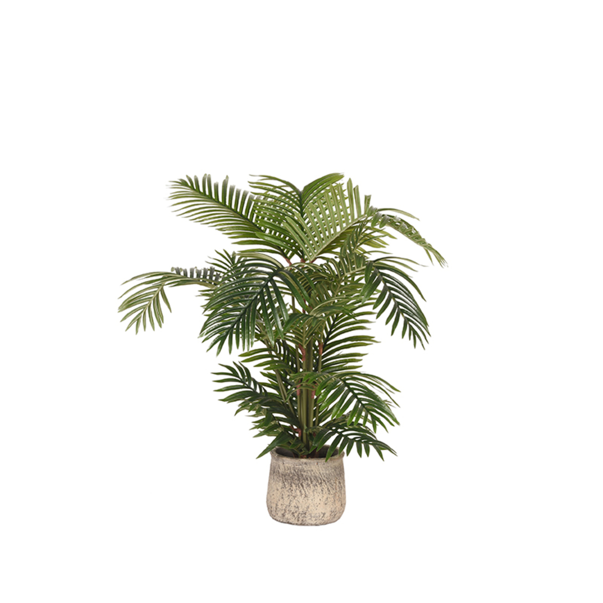 https://www.label51.nl/media/catalog/product/K/u/Kunstplant_Areca_Palm_90x60x110_cm_Vooraanzicht_Pot.jpg