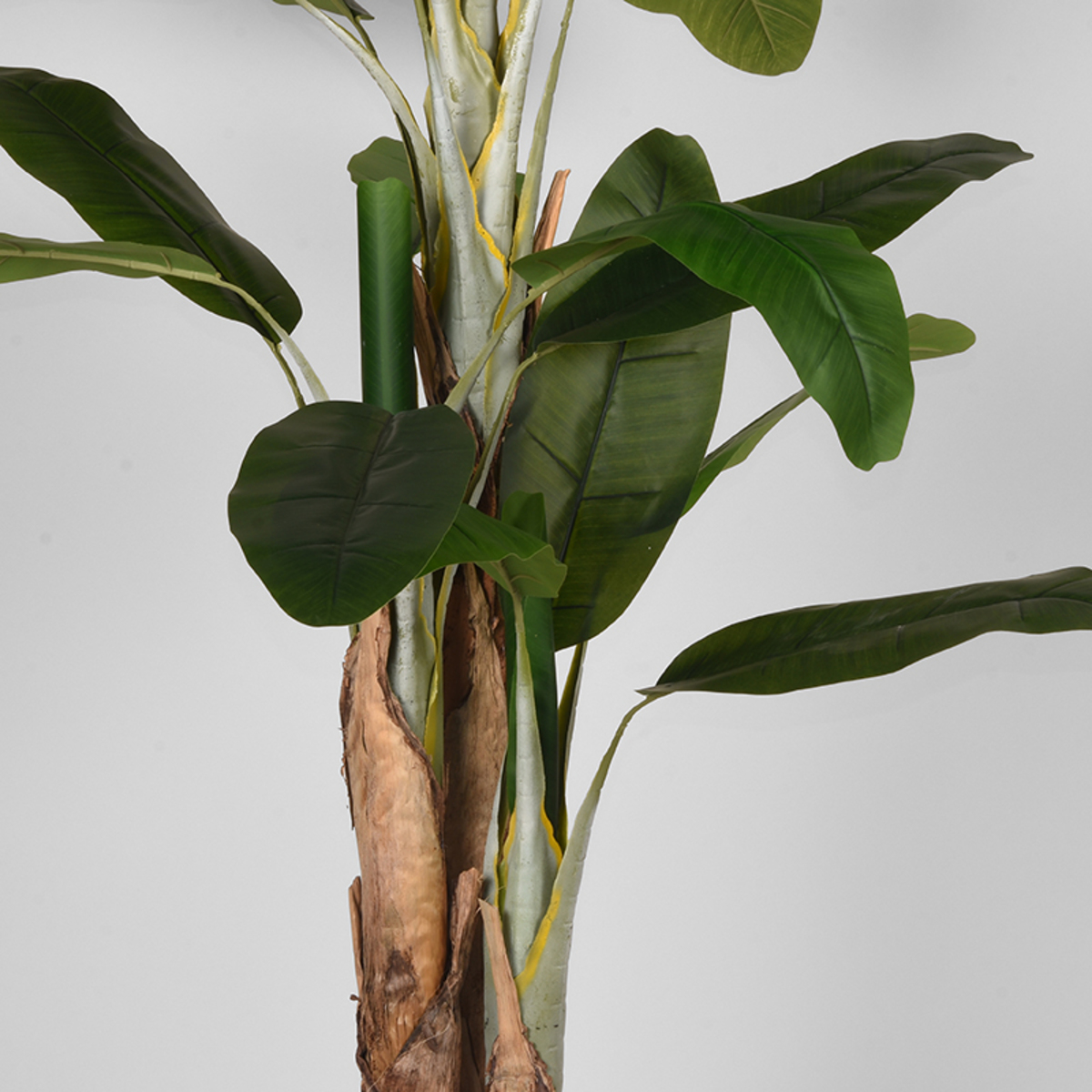 LABEL51 Musa - Groen - Kunststof - 180