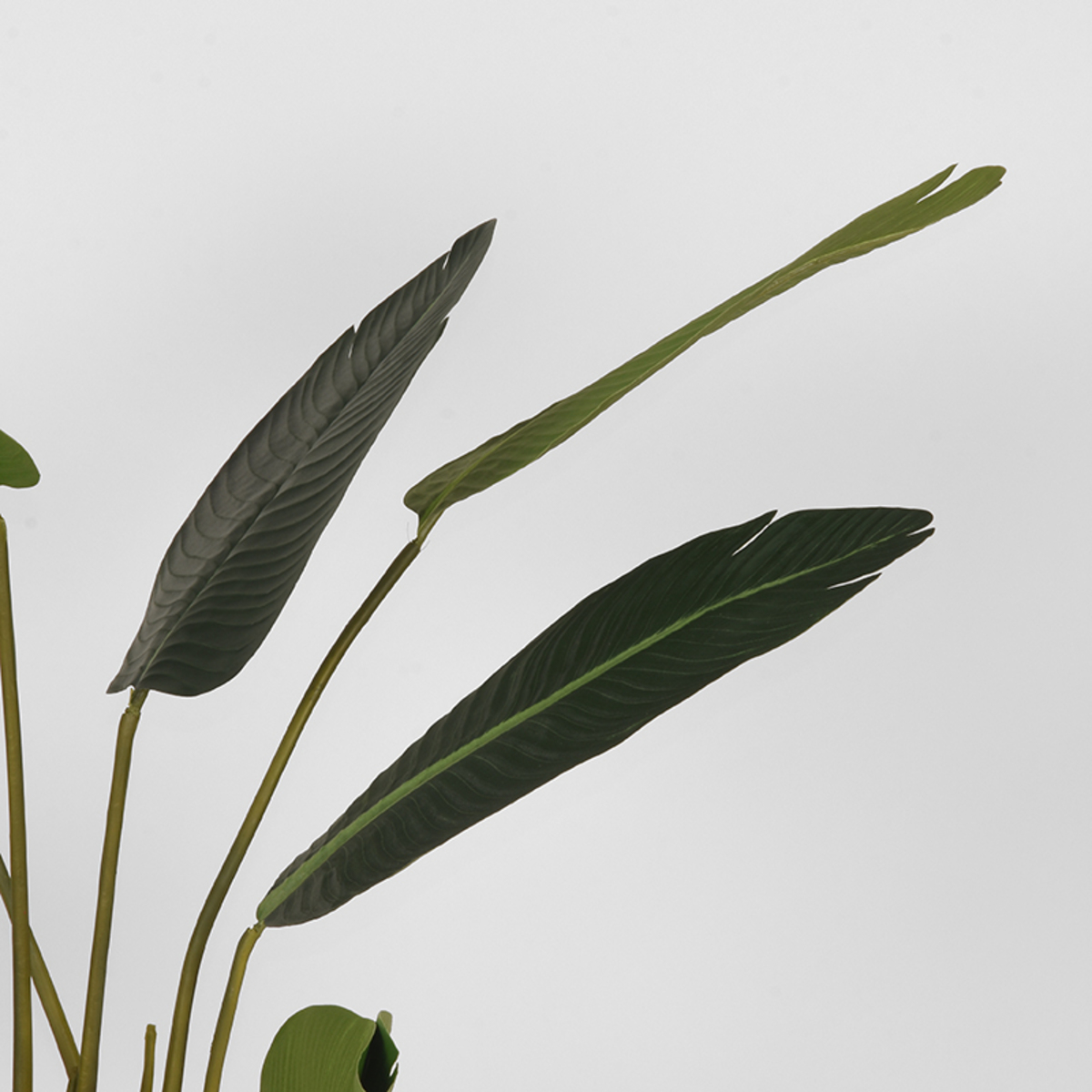 Kunstplant Strelitzia - Groen - 100 cm