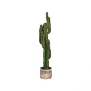 Kunstplant Cactus 1