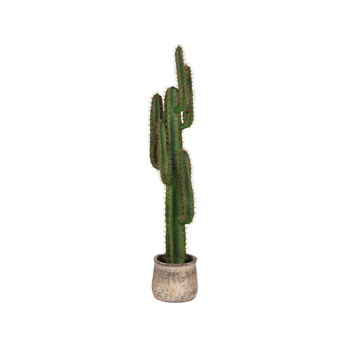 Decoratie I_Cactus - Groen - - Modern - LABEL51
