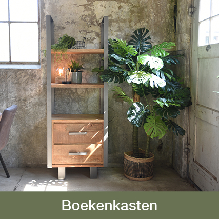 Boekenkasten